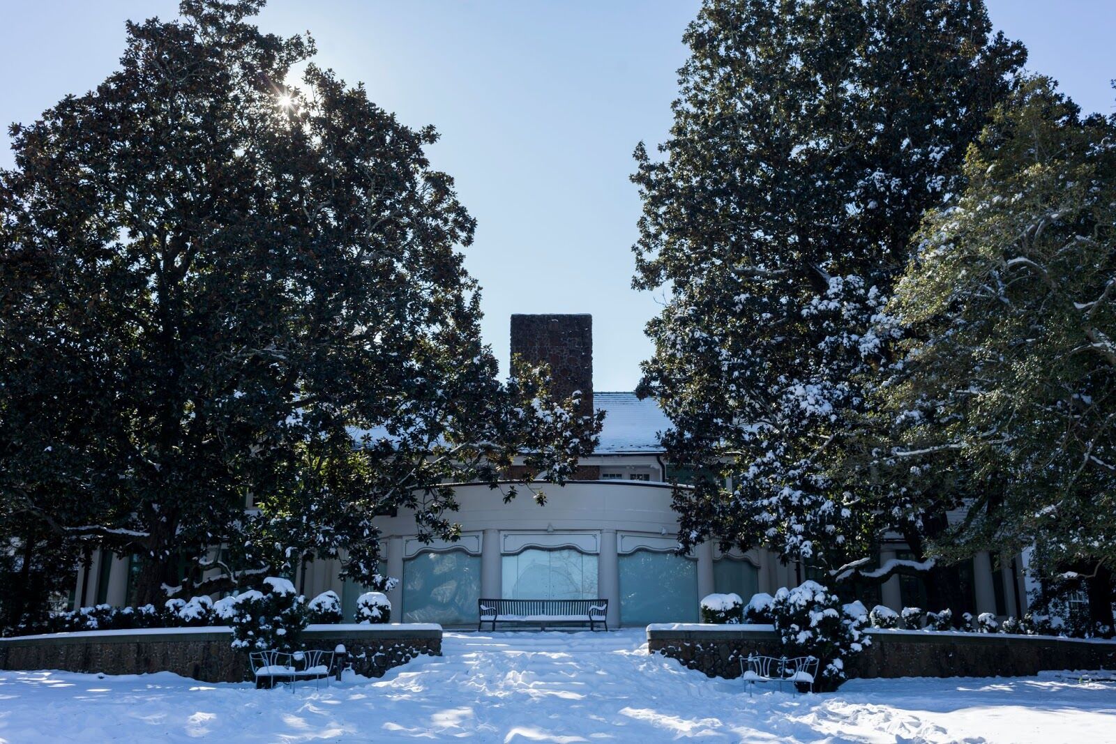 ROOF_DSC4526-1.jpg